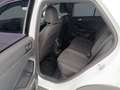 Volkswagen T-Roc R-Line 1.0TSI+Sitzhzg.+Sportpaket+PDC Weiß - thumbnail 6