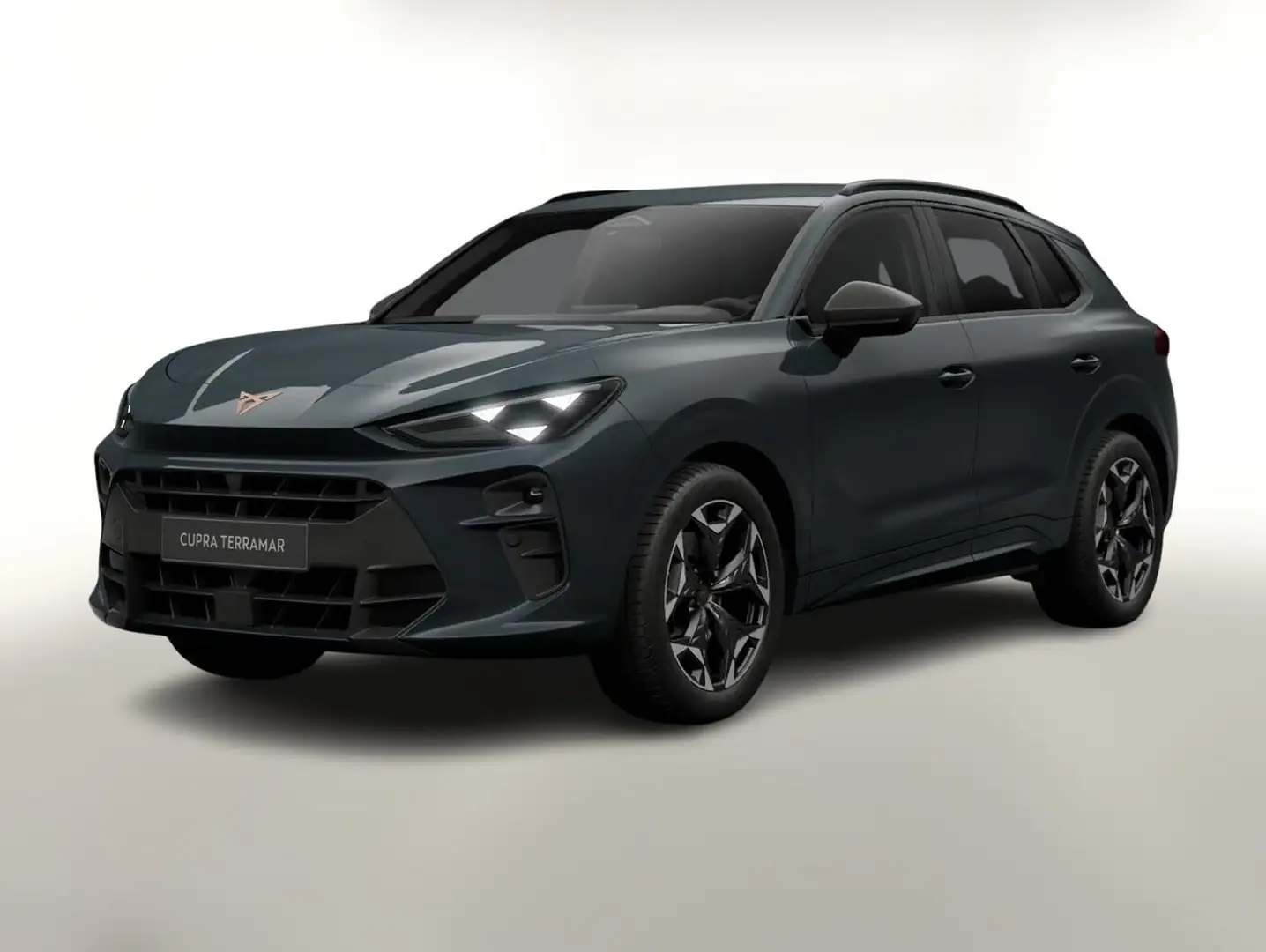 CUPRA Terramar VZ 4D Pano AHK eHk Kam SHZ ACC 3ZClim 195 kW (2... Blau - 1