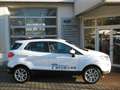 Ford EcoSport Titanium*WINTER-PAKET* Blanc - thumbnail 1