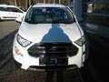 Ford EcoSport Titanium*WINTER-PAKET* Blanc - thumbnail 2