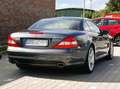 Mercedes-Benz SL 600 SL 600 Automatik Grey - thumbnail 11