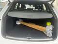 Audi Q5 Q5 40 2.0 tdi mhev S line Plus quattro s-tronic Bianco - thumbnail 6