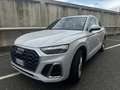 Audi Q5 Q5 40 2.0 tdi mhev S line Plus quattro s-tronic Bianco - thumbnail 1