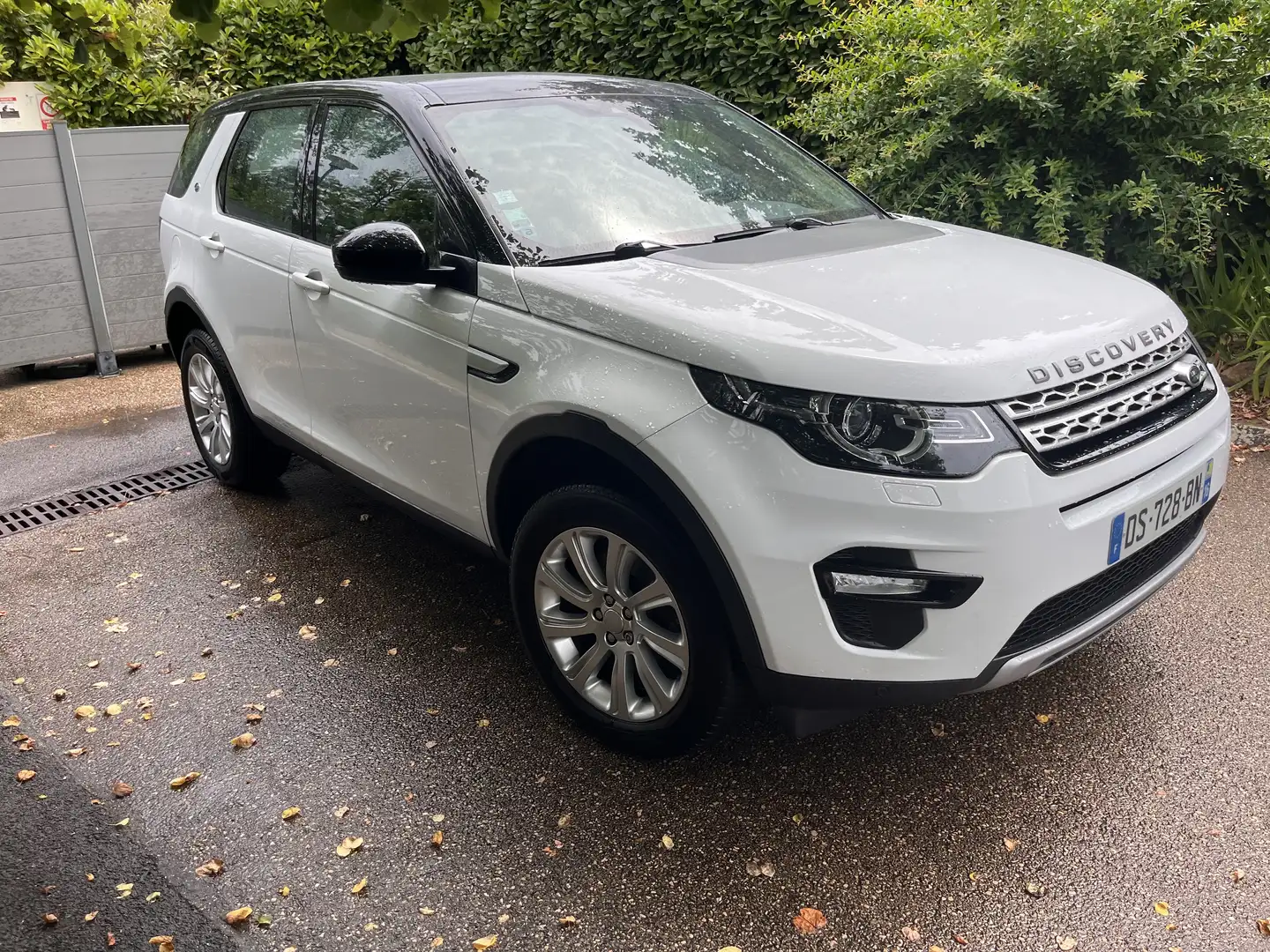 Land Rover Discovery Sport SD4 Aut. HSE - 2