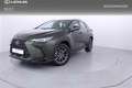 Lexus NX 350h Business City 2WD - thumbnail 1