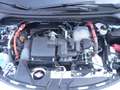 Honda Jazz Jazz IV 2021 1.5 hev Elegance ecvt Neopatentati Bianco - thumbnail 12