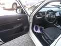 Honda Jazz Jazz IV 2021 1.5 hev Elegance ecvt Neopatentati Bianco - thumbnail 10