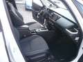 Honda Jazz Jazz IV 2021 1.5 hev Elegance ecvt Neopatentati Bianco - thumbnail 14