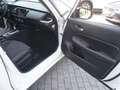Honda Jazz Jazz IV 2021 1.5 hev Elegance ecvt Neopatentati Bianco - thumbnail 13
