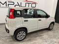 Fiat Panda Panda III 2012 0.9 t.air t. natural power  80cv E6 Beige - thumbnail 6