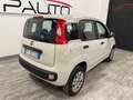 Fiat Panda Panda III 2012 0.9 t.air t. natural power  80cv E6 Beige - thumbnail 4