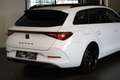 CUPRA Leon SP 1.5 e-Hybrid PANO Cam DodeH ACC LijnA Garantie Wit - thumbnail 5