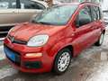 Fiat Panda My*1.Hd*Klima*73.TKM*AllWR*TÜV NEU Rot - thumbnail 4