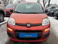 Fiat Panda My*1.Hd*Klima*73.TKM*AllWR*TÜV NEU Rot - thumbnail 3
