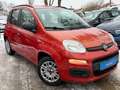Fiat Panda My*1.Hd*Klima*73.TKM*AllWR*TÜV NEU Rot - thumbnail 1