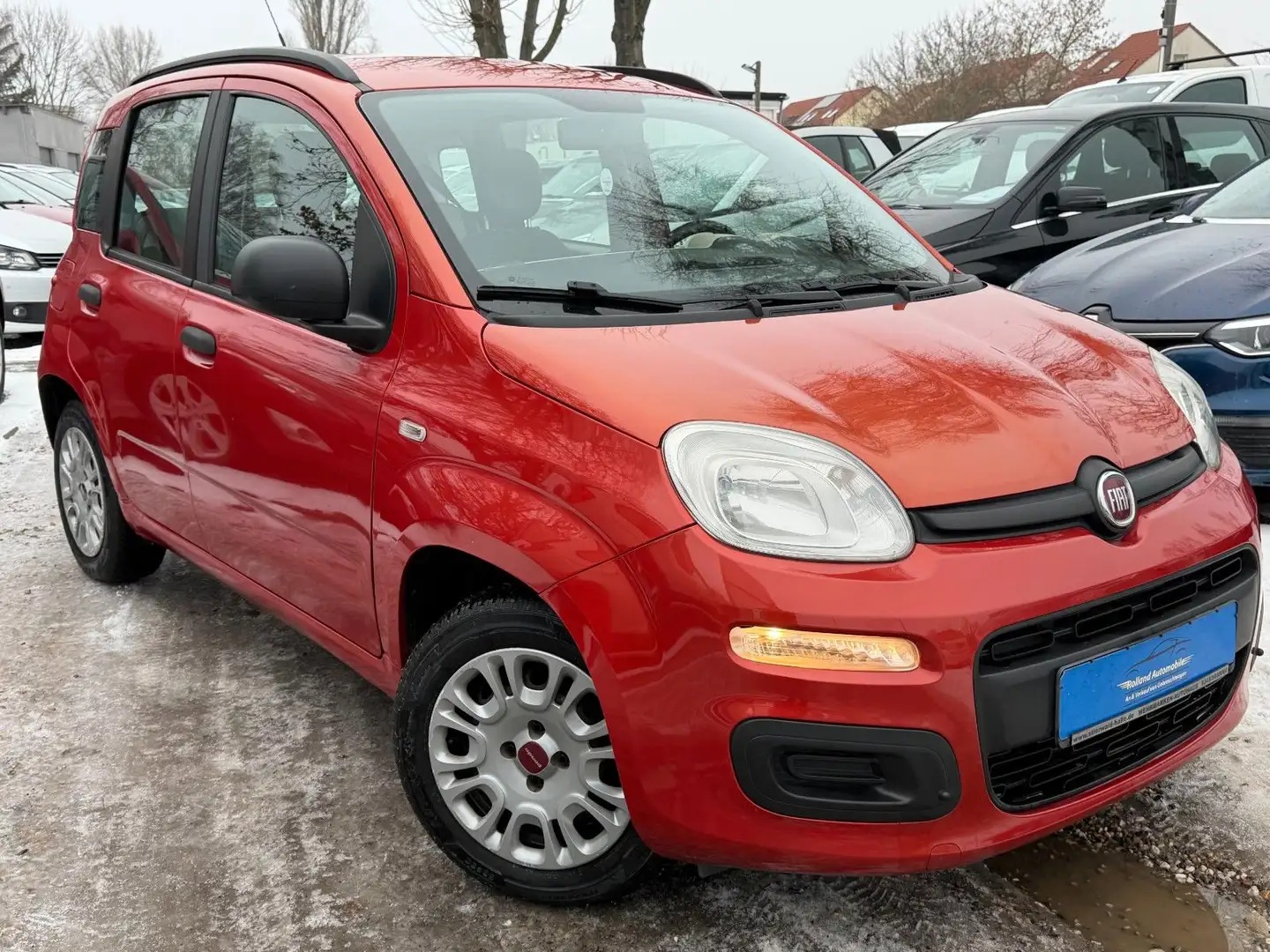 Fiat Panda My*1.Hd*Klima*73.TKM*AllWR*TÜV NEU Rot - 1