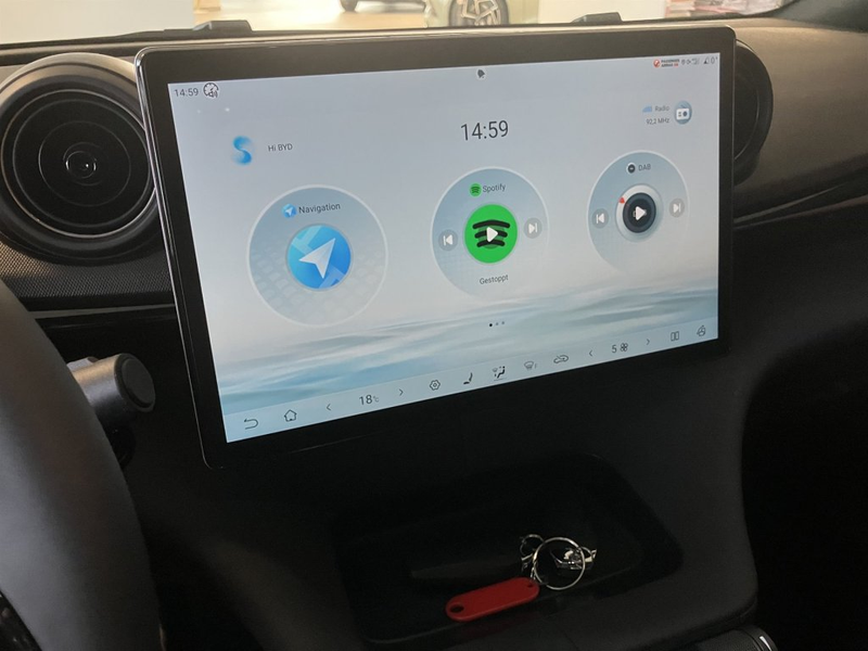 BYD Dolphin Comfort MY2025 — photo 14