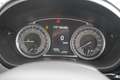Suzuki SX4 S-Cross 1.4 4x4 M-Hybrid Comfort+ LED Navi Blauw - thumbnail 21