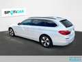 BMW 530 d xDrive Touring Aut./HUD/NaviProf/LED/HiFi Weiß - thumbnail 6