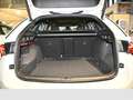 Skoda Octavia Combi 1.5 TSI DSG Sportline AHK/Matrix/HeadUp Weiß - thumbnail 13