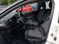 Citroen C3 III 2017 1.2 puretech Shine s&s 83cv Blanco - thumbnail 13