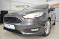 Ford Focus Turnier Business ~Navi~MFL~PDC Grigio - thumbnail 15