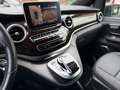 Mercedes-Benz V 250 4Matic Avantgarde EDITION 360Kamera Grau - thumbnail 30