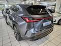 Lexus NX 450h+ E-FOUR Business AHK Leder elektrische Sitzverstell Grau - thumbnail 4