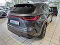 Lexus NX 450h+ E-FOUR Business AHK Leder elektrische Sitzverstell Grau - thumbnail 3