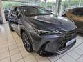 Lexus NX 450h+ E-FOUR Business AHK Leder elektrische Sitzverstell Grau - thumbnail 2