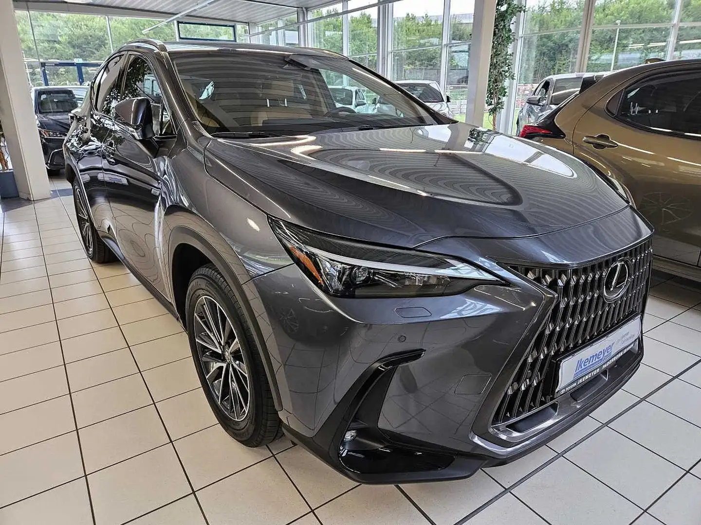 Lexus NX 450h+ E-FOUR Business AHK Leder elektrische Sitzverstell Grau - 2