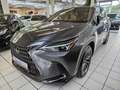 Lexus NX 450h+ E-FOUR Business AHK Leder elektrische Sitzverstell Grau - thumbnail 1