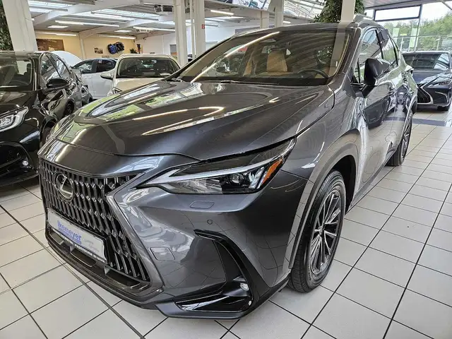 Lexus NX 450h+ E-FOUR Business AHK Leder elektrische Sitzverstell