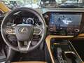 Lexus NX 450h+ E-FOUR Business AHK Leder elektrische Sitzverstell Grau - thumbnail 10