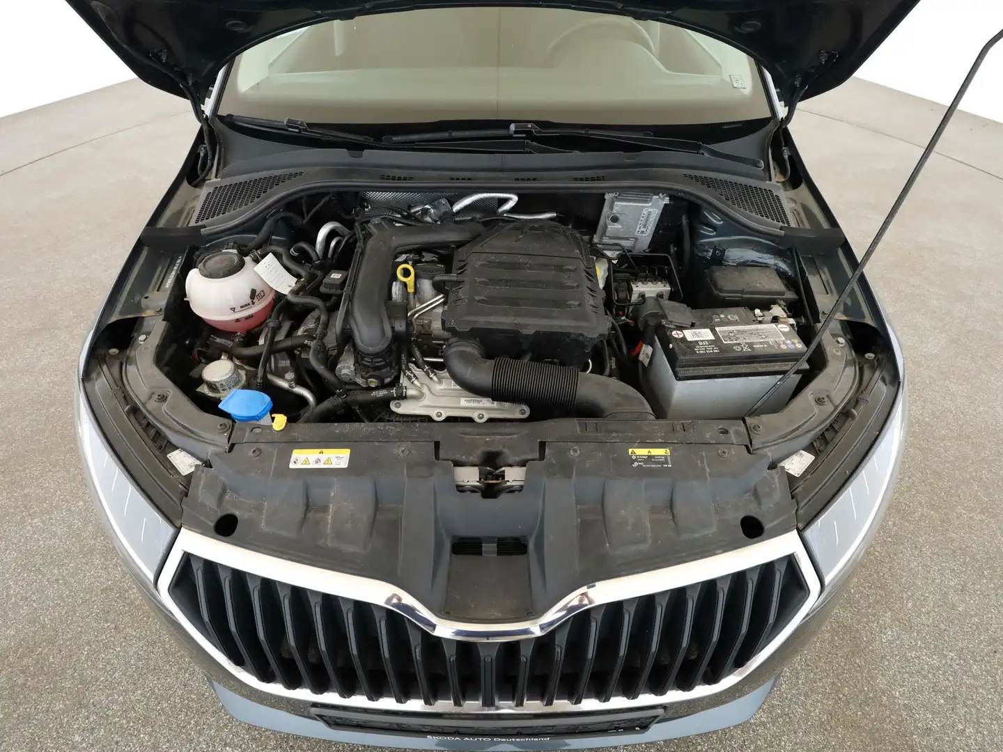 Ford Focus Cool Grün - 1