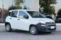 Fiat Panda Panda 1.0 hybrid E BENZINA VAN 2 POSTI Bianco - thumbnail 4
