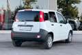 Fiat Panda Panda 1.0 hybrid E BENZINA VAN 2 POSTI Bianco - thumbnail 3