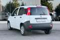 Fiat Panda Panda 1.0 hybrid E BENZINA VAN 2 POSTI Bianco - thumbnail 2