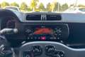 Fiat Panda Panda 1.0 hybrid E BENZINA VAN 2 POSTI Bianco - thumbnail 7