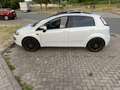 Fiat Punto Evo Racing Silber - thumbnail 12