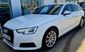 Audi A4 A4 Avant 2.0TDI S tronic 110kW Blanco - thumbnail 14