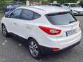 Hyundai iX35 / voll Scheckheft / 8 x AluReifen /wunderschön Blanc - thumbnail 14