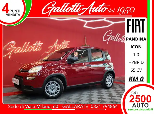 Fiat Panda firefly hybrid Icon s&s 65cv
