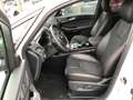 Ford S-Max 744 S-Max 2.5 Duratec FHEV Hybrid ST-Line Wit - thumbnail 7