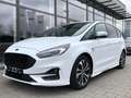 Ford S-Max 744 S-Max 2.5 Duratec FHEV Hybrid ST-Line Wit - thumbnail 17