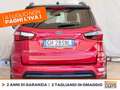 Ford EcoSport 1.0 ecoboost st-line s&s 125cv my20.25 Rosso - thumbnail 4