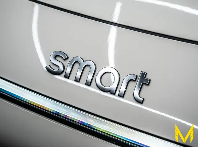 Smart #3 view 12