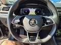 Skoda Superb Style 2.0 TDI DSG Grau - thumbnail 23