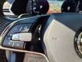 Skoda Superb Style 2.0 TDI DSG Grau - thumbnail 24