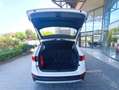 SEAT Ateca 1.6 TDI Business Bianco - thumbnail 6